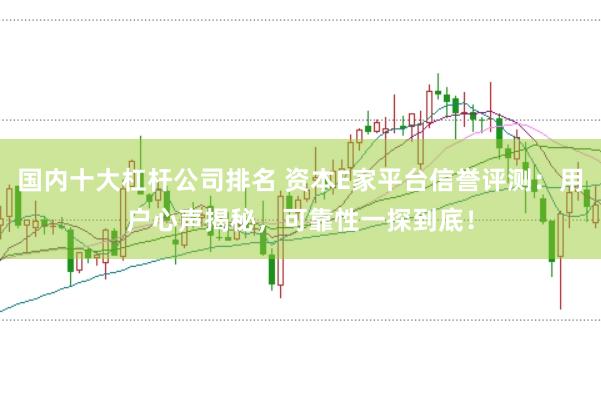 国内十大杠杆公司排名 资本E家平台信誉评测：用户心声揭秘，可靠性一探到底！