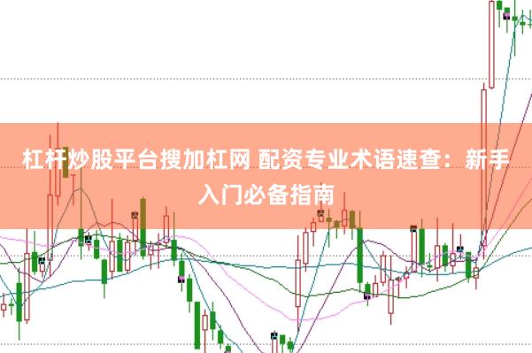 杠杆炒股平台搜加杠网 配资专业术语速查：新手入门必备指南