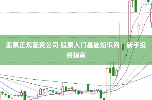 股票正规配资公司 股票入门基础知识网：新手投资指南