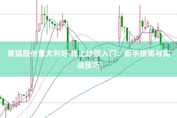 黑猫股份重大利好 线上炒股入门：新手指南与实战技巧