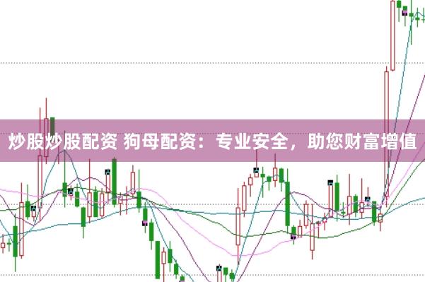 炒股炒股配资 狗母配资：专业安全，助您财富增值
