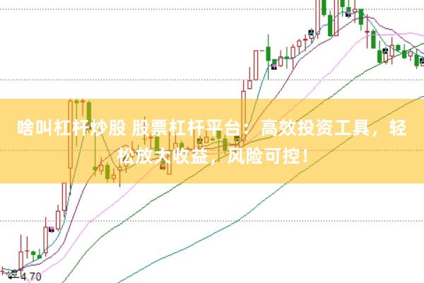 啥叫杠杆炒股 股票杠杆平台：高效投资工具，轻松放大收益，风险可控！