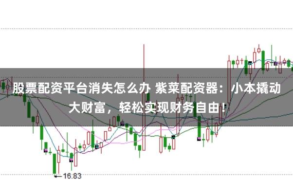 股票配资平台消失怎么办 紫菜配资器：小本撬动大财富，轻松实现财务自由！
