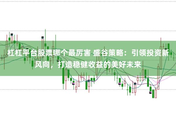 杠杠平台股票哪个最厉害 盛谷策略：引领投资新风向，打造稳健收益的美好未来