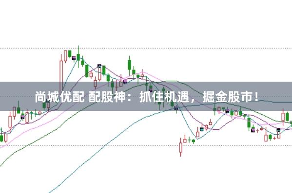 尚城优配 配股神：抓住机遇，掘金股市！