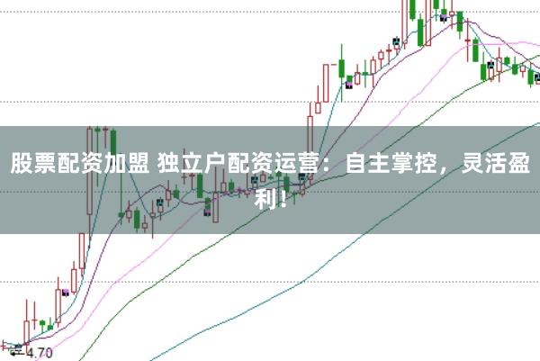 股票配资加盟 独立户配资运营：自主掌控，灵活盈利！