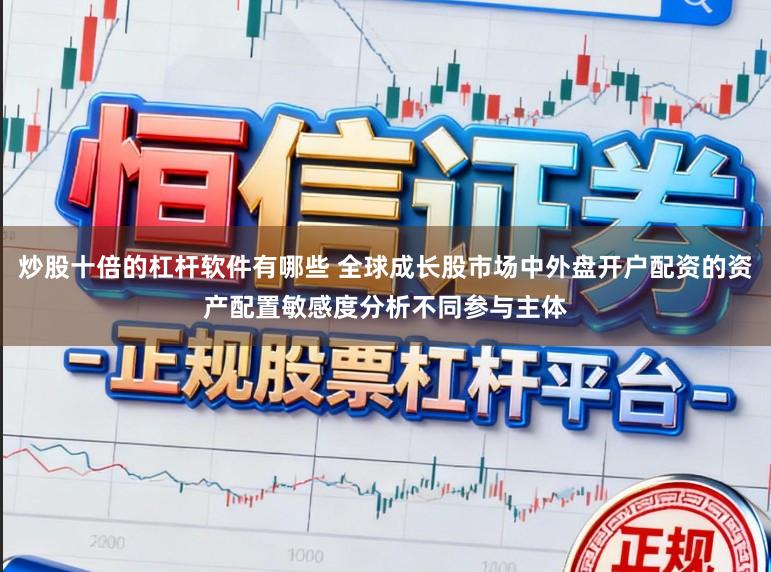 炒股十倍的杠杆软件有哪些 全球成长股市场中外盘开户配资的资产配置敏感度分析不同参与主体