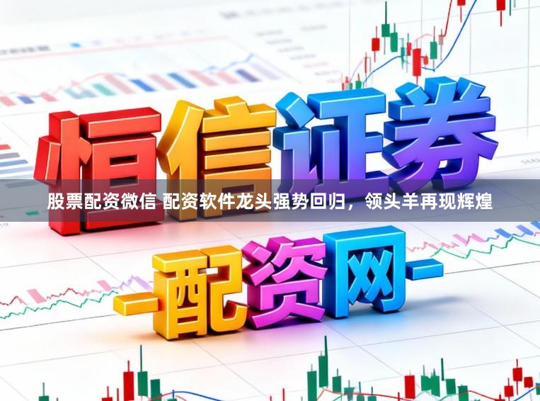 股票配资微信 配资软件龙头强势回归，领头羊再现辉煌
